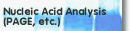 Nucleic Acid Analysis (PAGE, etc.)